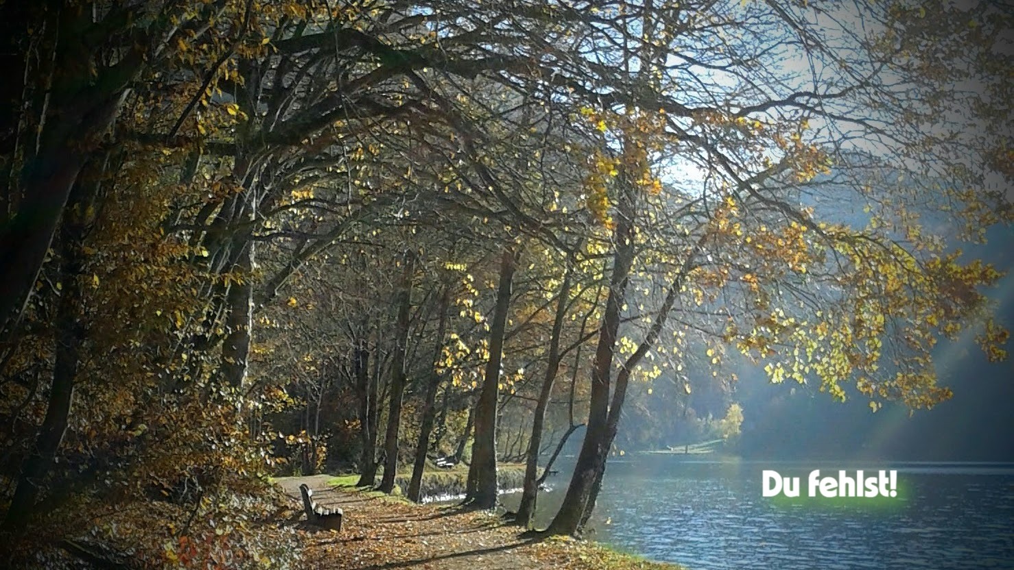 Trauerbegleitung