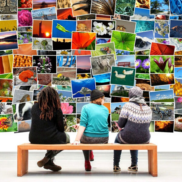 Bildergalerie / © Alexas_Fotos/pixabay.com Bildergalerie