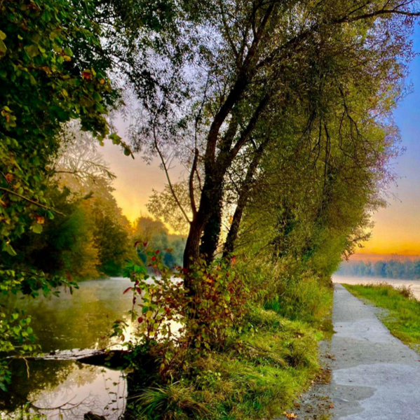 Foto der Woche