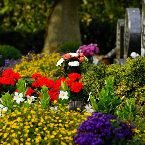 Friedhofsordnung / @ congerdesign/pixabay.com Friedhofsordnung
