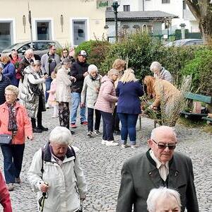 Palmsonntag 2025