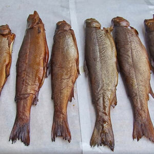 Wein und Fisch