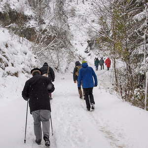 Bischofs Visitation Dekanat Weyer, Wanderung, Visitation mit den Mitgliedern der Pastoralkonferenz Dekanat Weyer in Trattenbach im SchneeFoto: Jack Haijes