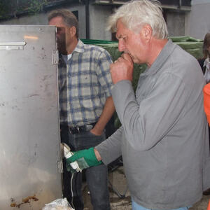 Wein und Fisch