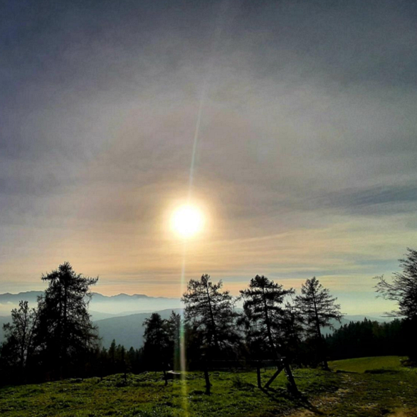 Foto der Woche